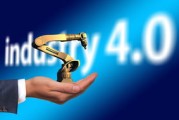中国篮球联赛观众行为分析与研究，篮球观众席图片